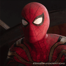 Staring Peter Parker GIF