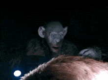 Oh No Dawn Of The Planet Of The Apes GIF