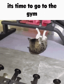Its Time To Go To The Gym GIF - Its Time To Go To The Gym GIFs