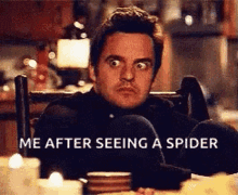 Spiders Scared GIF
