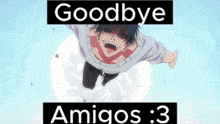 a cartoon character is flying through the air with the words goodbye amigos : 3 below him