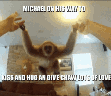 Michaw Monkey GIF - Michaw Chaw Monkey GIFs