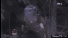 GIF