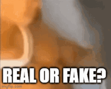 Real Or Fake Kumalala Real Or Fake GIF - Real Or Fake Kumalala Real Or Fake Real GIFs