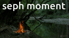 Seph Moment GIF - Seph Moment GIFs
