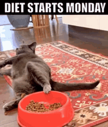 Diet Starts Monday Cheat Day GIF - Diet Starts Monday Cheat Day Gluttony GIFs