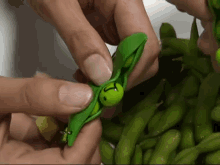 완두콩 장난감 키덜트 토이 GIF - Toy Pea Peas GIFs