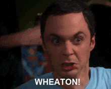 Wheaton Sheldon Cooper GIF - Wheaton Sheldon Cooper Big Bang Theory GIFs