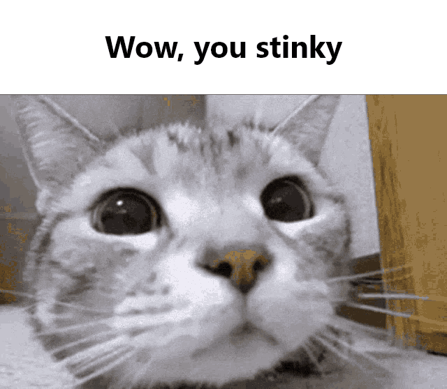 you-smell-stinky.png