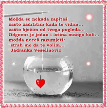 Jadranka Veselinović GIF - Jadranka Veselinović GIFs