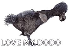 Dodo Ark GIF - Dodo Ark Twerk GIFs