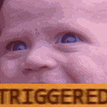 Baby Bacon Triggered Baby GIF - Baby Bacon Triggered Baby Baby Bacon Triggered GIFs