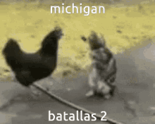 Michigan GIF - Michigan GIFs