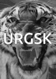 Urgsk GIF - Urgsk GIFs