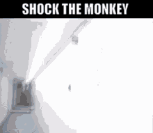 Peter Gabriel Shock The Monkey GIF - Peter Gabriel Shock The Monkey New Wave GIFs