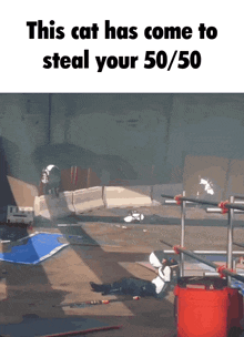 a cat has come to steal your 50/50 on a white background