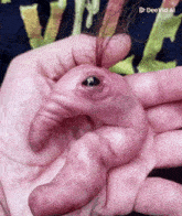 a person holding a baby elephant in their hand with a deevid ai watermark in the corner