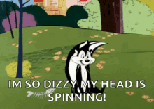 pepe le pew dizzy spining