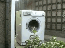 Turtle Washing Machine GIF - Turtle Washing Machine Rock GIFs