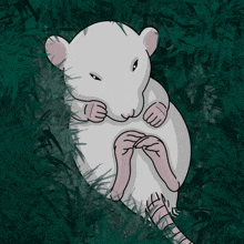 Rat Rats GIF - Rat Rats Mouse GIFs