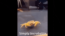 Crab Punch GIF - Crab Punch Shrimple GIFs