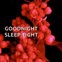 Goodnight Sleep Tight GIF - Goodnight Sleep Tight Flowers GIFs