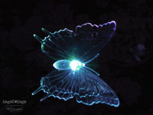 Butterfly Vlinder GIF - Butterfly Vlinder GIFs