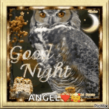 Good Night Angel GIF - Good Night Angel Owl GIFs