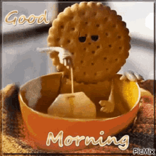 Morning Good Morning GIF - Morning Good Morning Tea And Biscuits GIFs