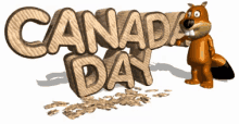Beaver GIF - Canada Day Beaver Wave GIFs
