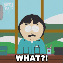 What Randy Marsh GIF - What Randy Marsh South Park GIFs