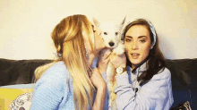 Three Is Always Company When Three Is A Puppy! GIF