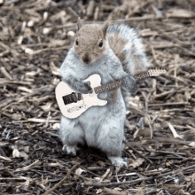 punkrobot ardilla rock squirrel