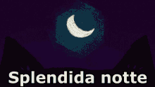 Splendida Buona Notte Sogni D'Oro Stella Cadente Luna GIF - Wonderful Goodnight Sweet Dreams GIFs