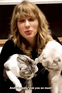 taylor swift cat cats love you