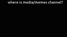 a bald man is looking at the camera with the words `` where is media / memes channel '' written above him .