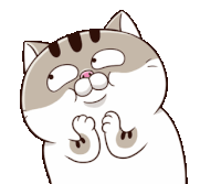 Ami Fat Cat Dance Sticker - Ami Fat Cat Dance Happy Stickers