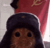 Burp Soviet Cat GIF