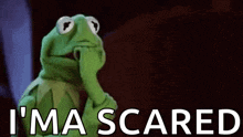 kermit the frog is holding his hand to his mouth and says `` i 'm scared '' .