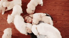 Dogs Puppies GIF - Dogs Puppies Cuddle GIFs