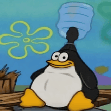 a penguin with a water bottle on its head