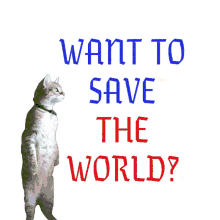 want to save the world cat kitty election2020 2020election