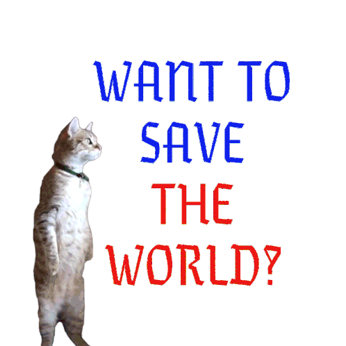Want To Save The World Cat Sticker - Want To Save The World Cat Kitty Stickers