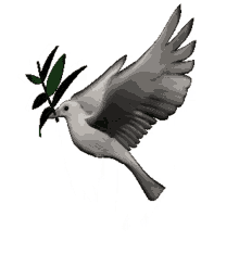 paz dove bird leaf fly