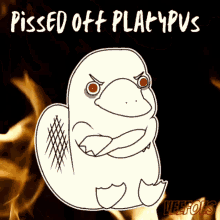 Pissed Off Pissed Off Platypus GIF - Pissed Off Pissed Off Platypus Veefoes GIFs