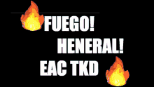 Fuego Heneral Eac GIF