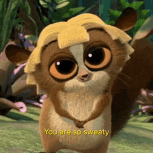 a cartoon squirrel with a banana on its head is standing in the jungle and says `` you are so sweaty '' .