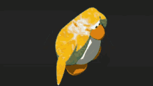 Orange Penguin GIF - Orange Penguin GIFs
