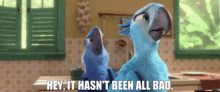 Rio2 Hey It Hasnt Been All Bad GIF - Rio2 Hey It Hasnt Been All Bad It Aint All Bad GIFs