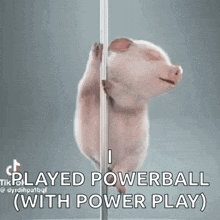 a pig is standing on a pole with a caption that says `` i played powerball with power play '' .